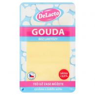 Gouda DeLacto 100g 