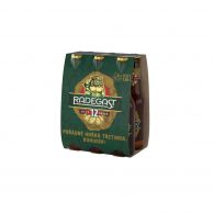 Pivo Radegast ryze hořká 12 0,33l