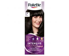 Palette Barva na vlasy N1 černý